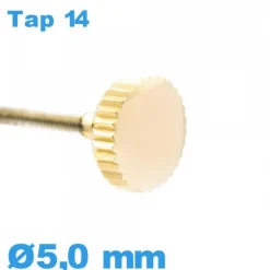Couronne de Remontoir de Montre / 5,0mm - Doré TAP 14