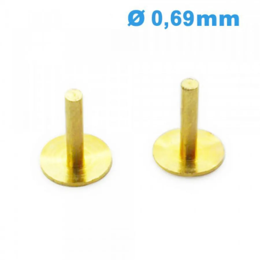 Pied De Cadran-Pied de Cadran Montre Diamètre 0,69 mm - Lot de 2